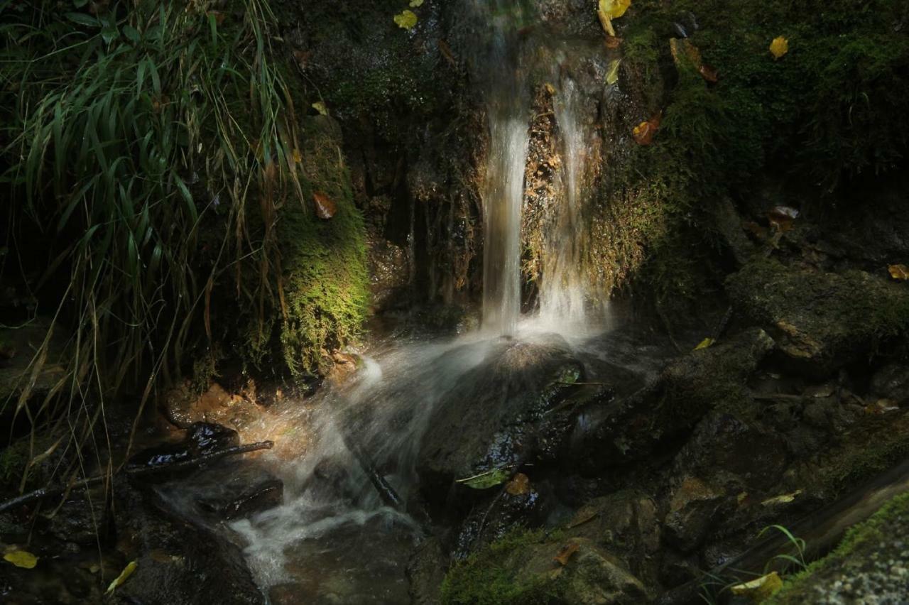 San Pedro de Torelló Torre De Codinacヴィラ エクステリア 写真